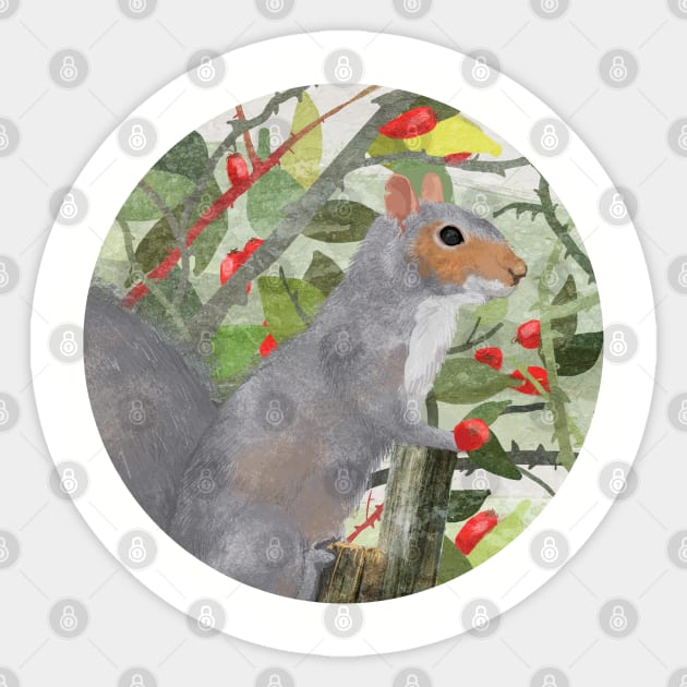 Grey Squirrel Sticker by KatherineBlowerDesigns